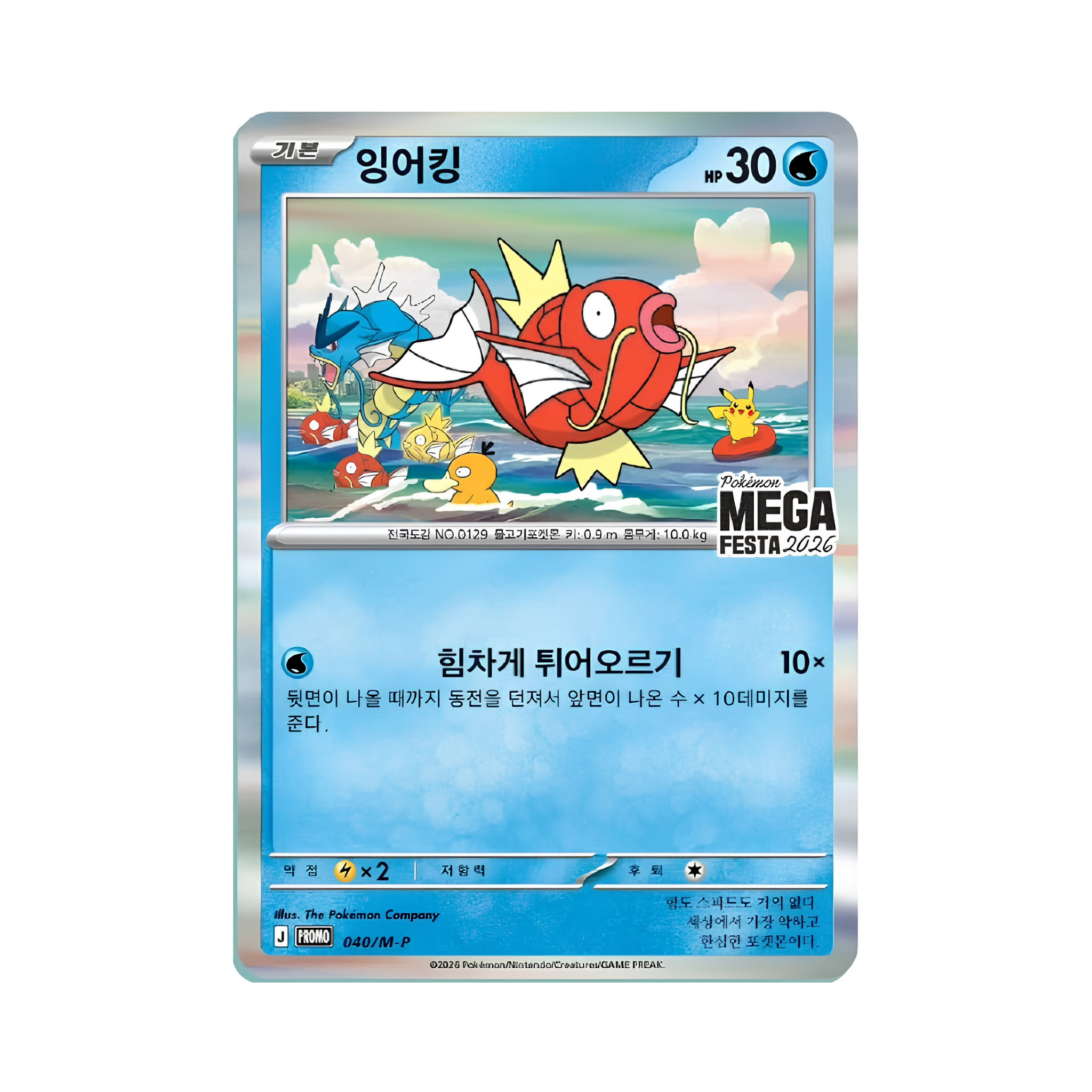 Magikarp 40 | Festa 2026 | Korean