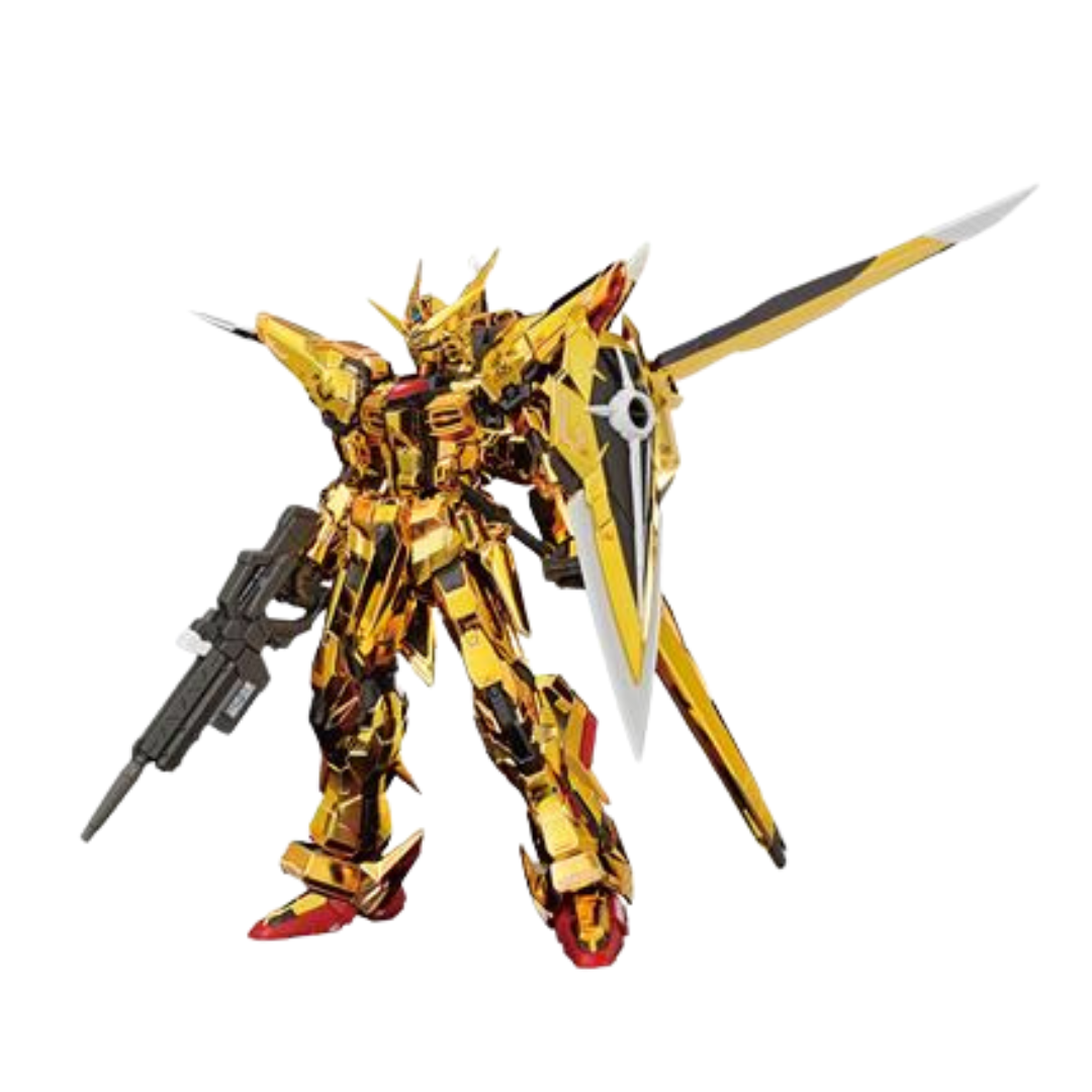 RG 1/144 AKATSUKI GUNDAM OOWASHI unit