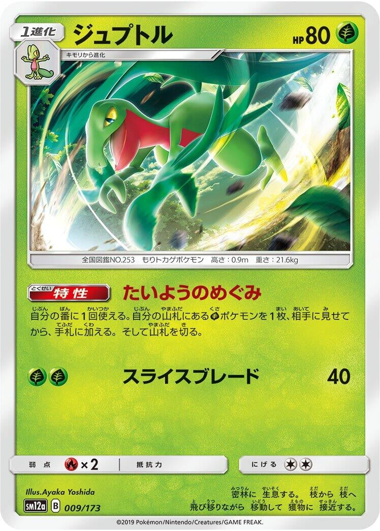 Grovyle 