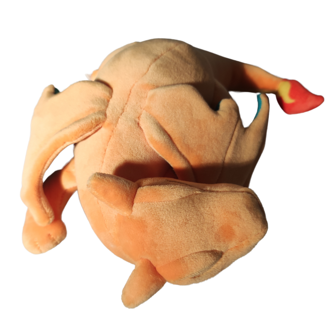 #006-Charizard Pokémon Plushies - Sleeping Pokémon
