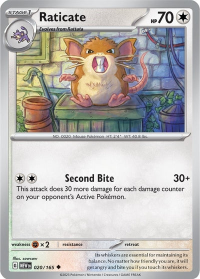 Image for Raticate (SV: Scarlet & Violet 151) (020/165) - Pokemon