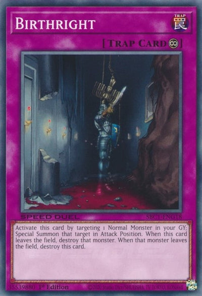 Image for Birthright (Speed Duel: Streets of Battle City) (SBC1-ENG18) - YuGiOh