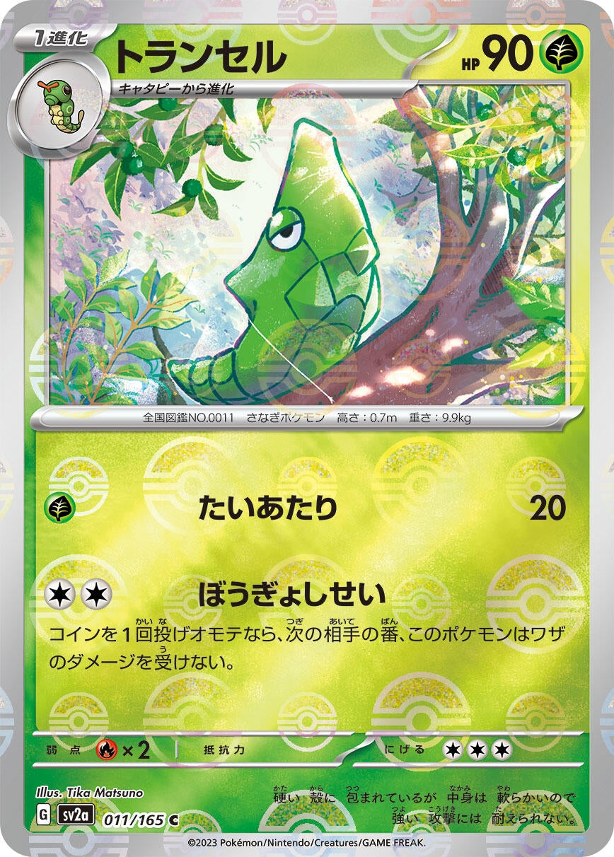 Image for Metapod (Poke Ball Pattern) (011/165) [SV2a: Pokemon Card 151]
