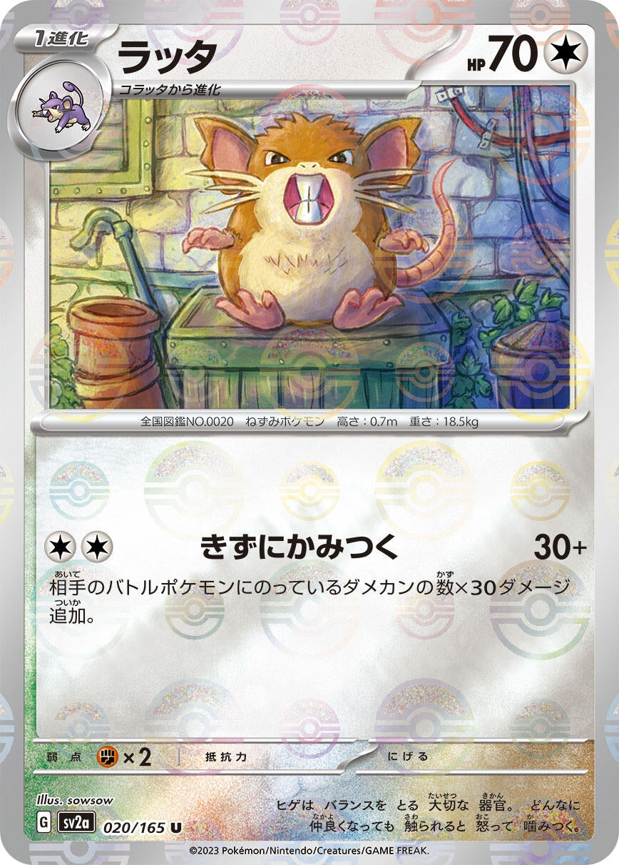 Image for Raticate (Poke Ball Pattern) (020/165) [SV2a: Pokemon Card 151]