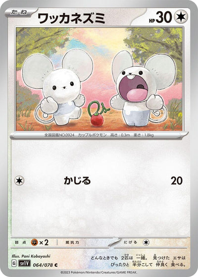 Image for Tandemaus (SV1V) (064/078) - Pokemon Japan