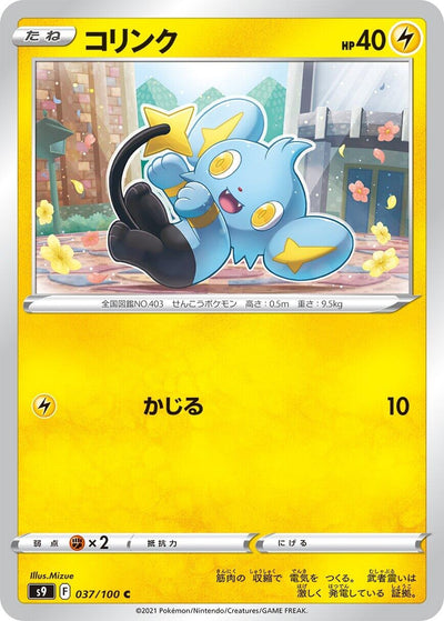 Image for Shinx (S9: Star Birth) (037/100) - Pokemon Japan