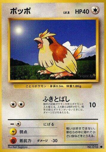 Image for Pidgey (Expansion Pack) - Pokemon Japan