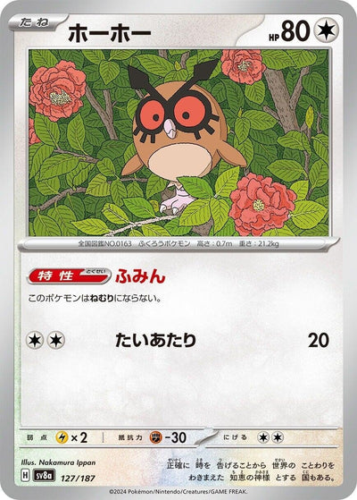 Image for Hoothoot (127/187) [SV8a: Terastal Fest ex]