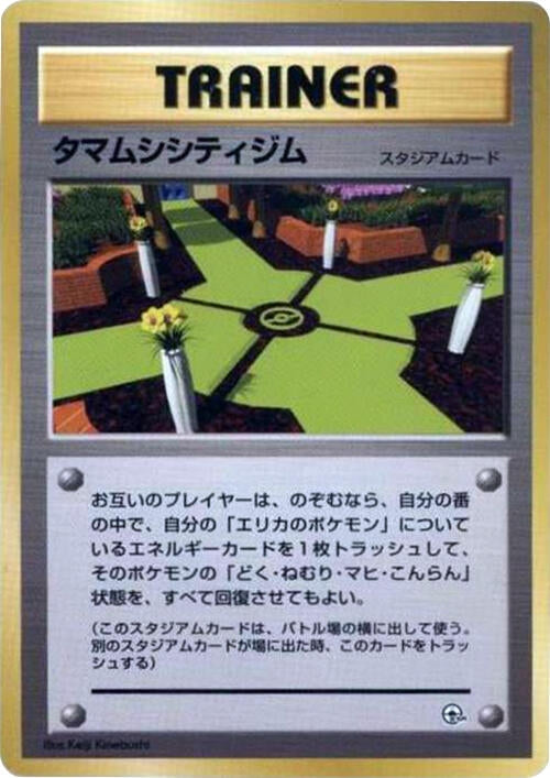 Image for Celadon City Gym - Pokemon Japan
